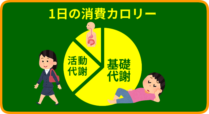 1日の消費カロリーの内訳